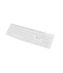 TECLADO NATEC NAUTILUS SLIM LAYOUT ESPAOL BLANCO