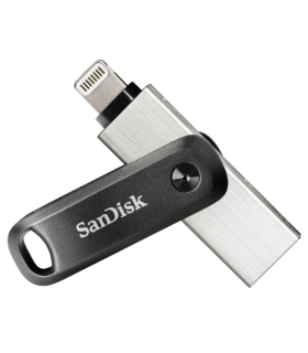 SanDisk SDIX60N-256G-GN6NE unidad flash USB 256 GB 3.2 Gen 1 (3.1 Gen 1) Gris, Plata