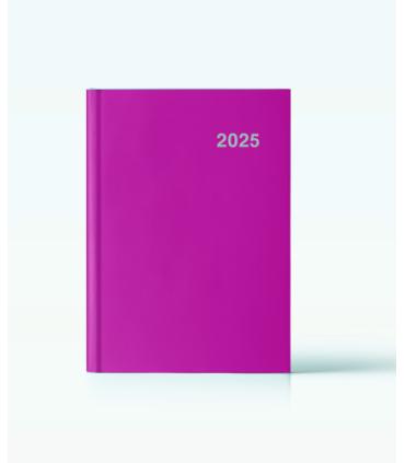 AGENDA 2025 PARIS DIA/PAGINA 15X21 FUCSIA CATALAN INGRAF 355423