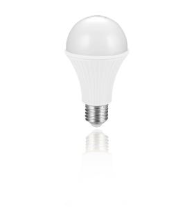 BOMBILLA LED PRIMUX GLOBE E27 8W 3000K WARM