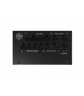 MSI MPG A850G PCIE5 unidad de fuente de alimentación 850 W 24-pin ATX ATX Negro