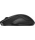 HP 255 Dual Wireless Mouse