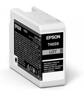 Epson UltraChrome Pro cartucho de tinta 1 pieza(s) Original Gris claro