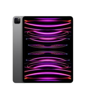 IPAD PRO 12.9 6GEN WF 512GB SP GREY