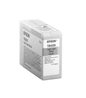 Epson Singlepack Light Light Black T850900