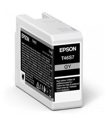 Epson UltraChrome Pro cartucho de tinta 1 pieza(s) Original Gris