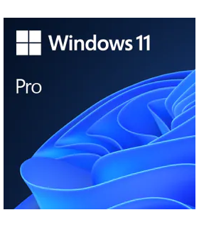 Microsoft Windows 11 Pro 1 licencia(s)