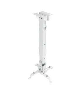 TooQ PJ2012T-W montaje para projector Techo Blanco