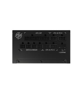 MSI MPG A1000G PCIE5 unidad de fuente de alimentación 1000 W 20+4 pin ATX ATX Negro