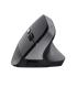 Mouse Trust Tm-270 Ergonomico Inalambrico Con Angulo Vertical Para Proteger La Mueca 25371