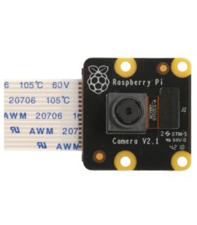 Raspberry Pi PiNoir Camera Module V2.1 Cmara Multicolor