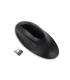 Pro Fit Ergo Wireless Mouse - Pro Fit Ergo Wireless Mouse