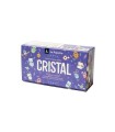 KIT PINTURA PARA CRISTAL + PINCEL 6 COLORES SURTIDOS LA PAJARITA 999994